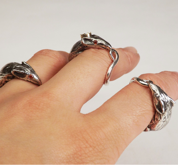 Rat rings